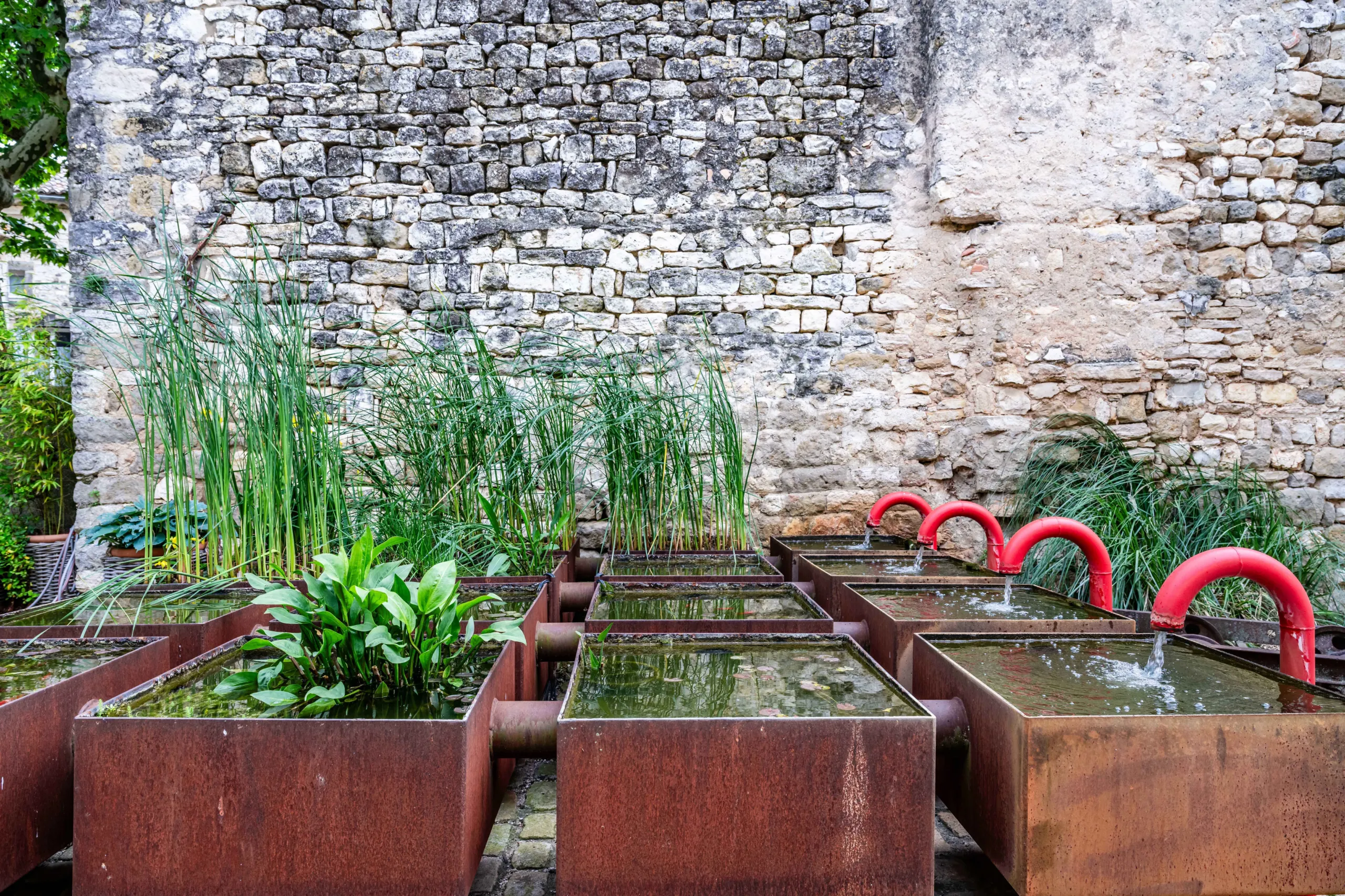 Jardin aquatique avec vieilles pierres en arrière-plan.