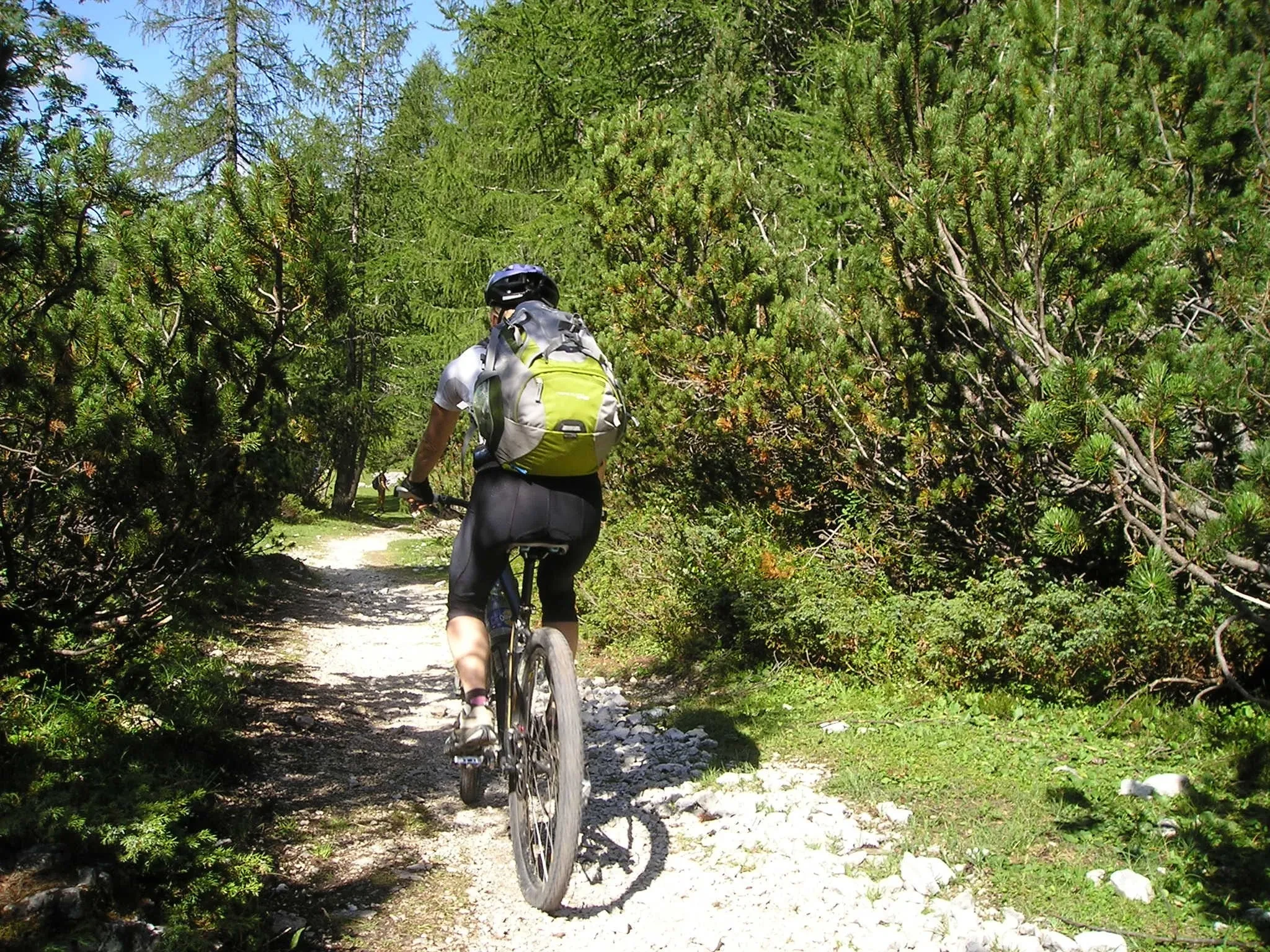 Cycliste sur chemin forestier en montagne