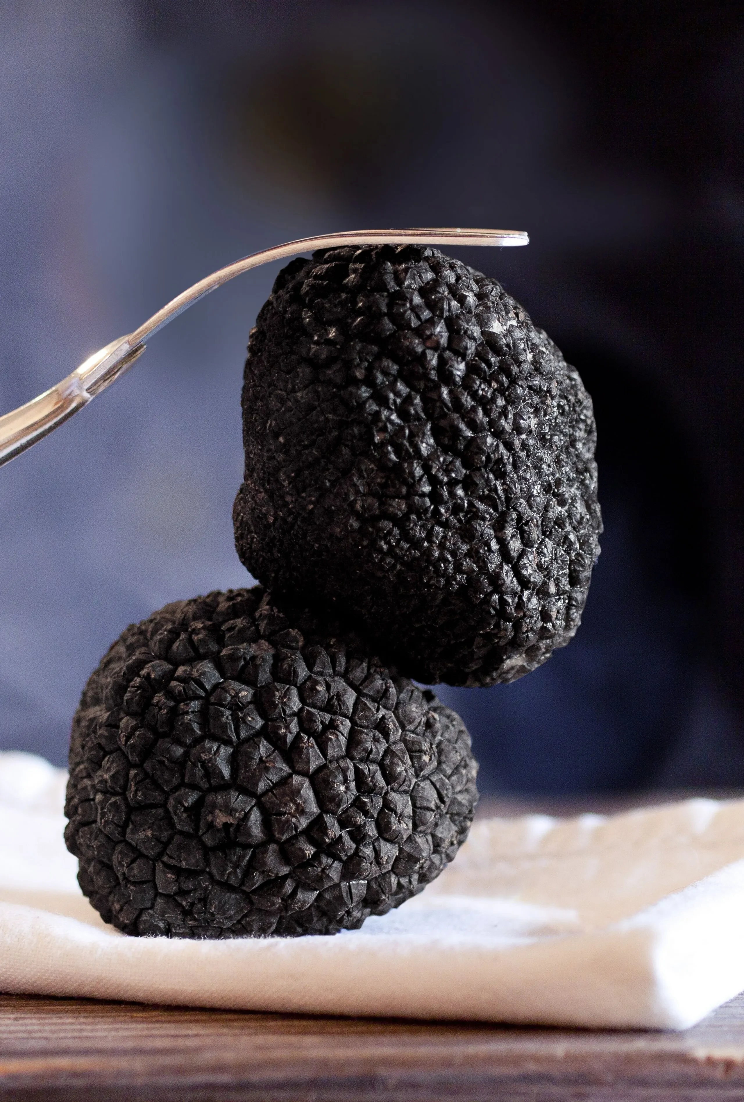 Deux truffes noires sur nappe blanche.