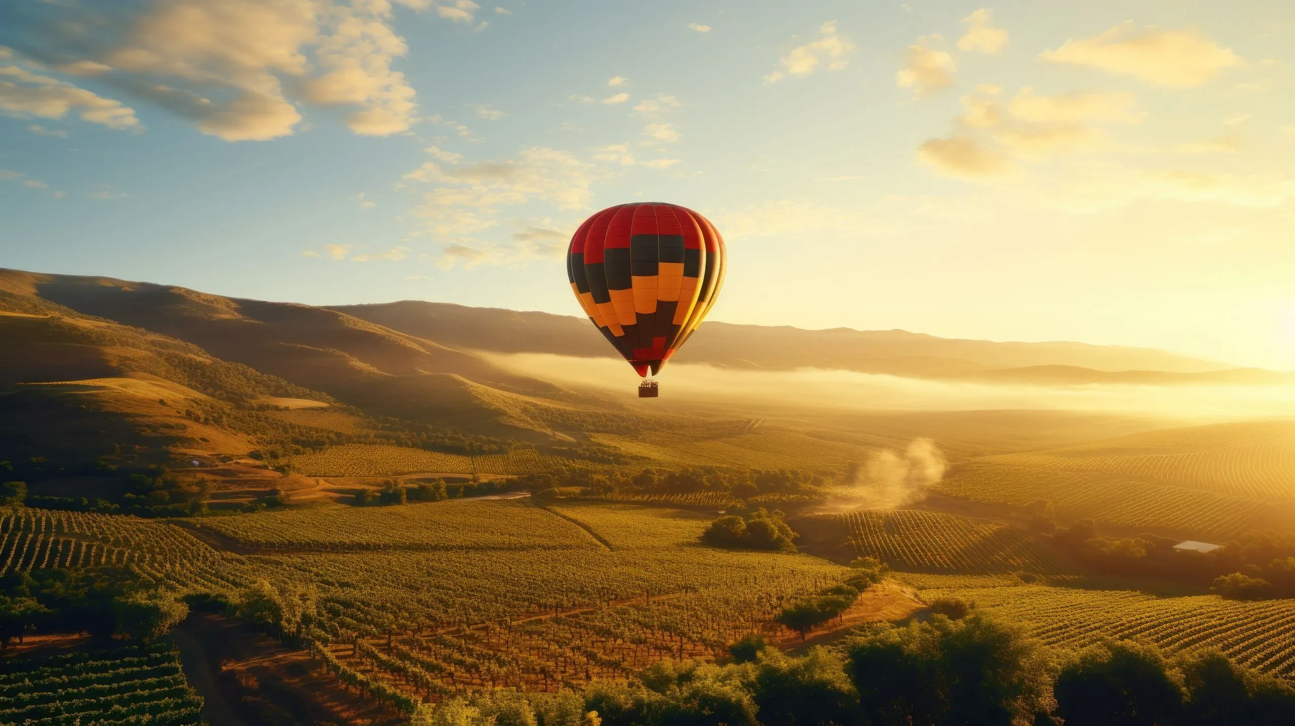Montgolfière survolant un vignoble au coucher du soleil.