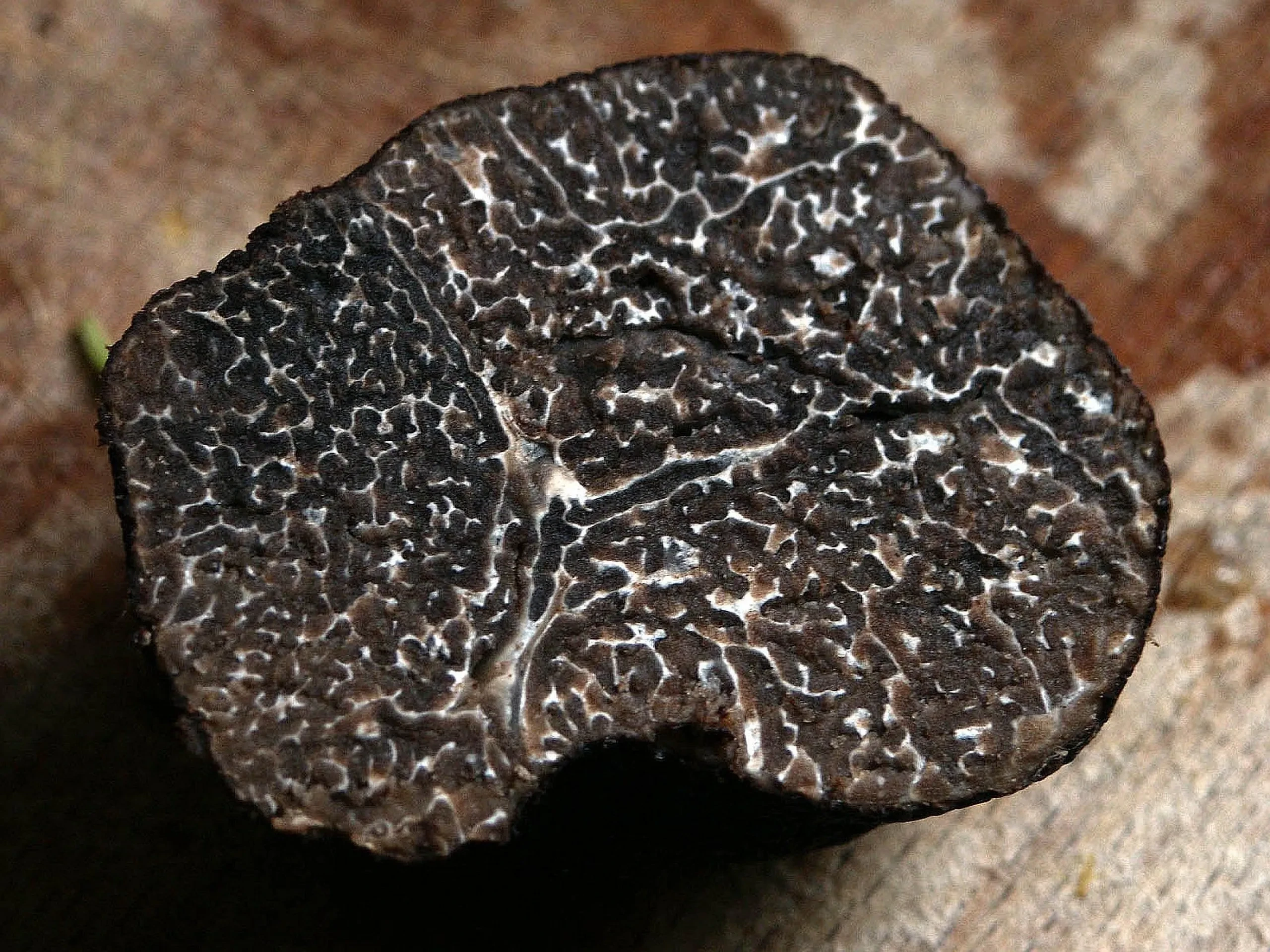 Tranche de truffe noire sur une planche